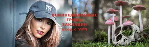 mdpv Инта