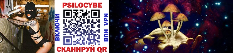Купить закладки  Ворсма  Галлюциногенные грибы Psilocybe 